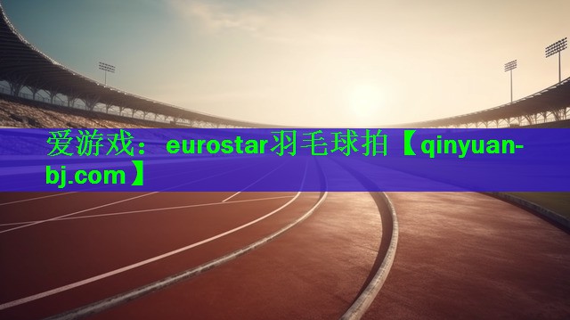 eurostar羽毛球拍